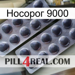 Носорог 9000 31